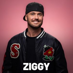 Ziggy-tegel-HP